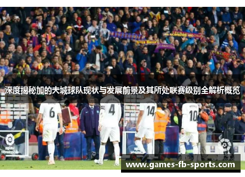 深度揭秘加的夫城球队现状与发展前景及其所处联赛级别全解析概览