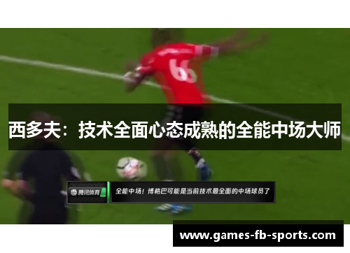 西多夫:技术全面心态成熟的全能中场大师 西多夫:技术全面心态成熟的全能中场大师