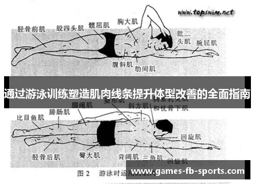 通过游泳训练塑造肌肉线条提升体型改善的全面指南 通过游泳训练塑造肌肉线条提升体型改善的全面指南