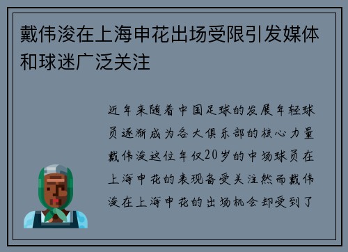 戴伟浚在上海申花出场受限引发媒体和球迷广泛关注
